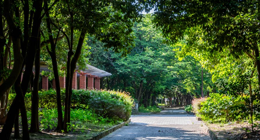 鳴尾浜臨海公園(徒歩1分〜4分)写真