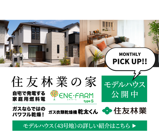 今月の特選プラン