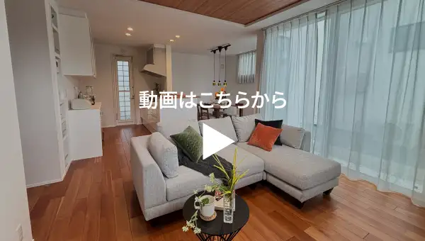 動画を見る