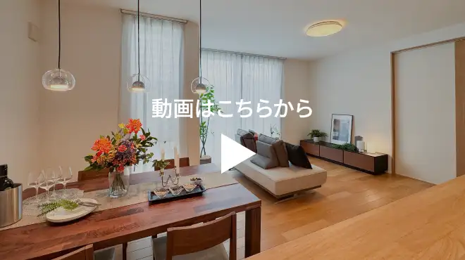 動画を見る